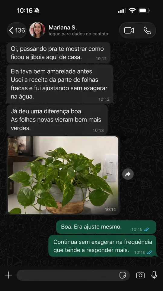 Depoimento de cliente no WhatsApp