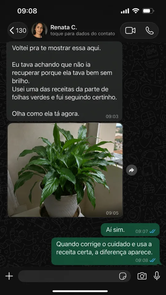 Depoimento de cliente no WhatsApp