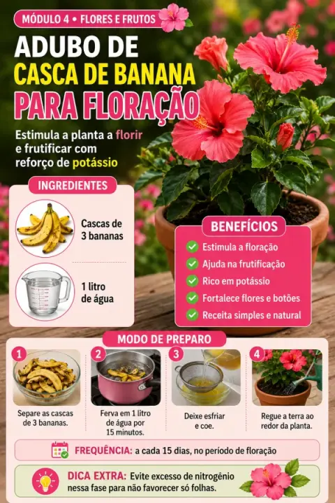 Receita do guia
