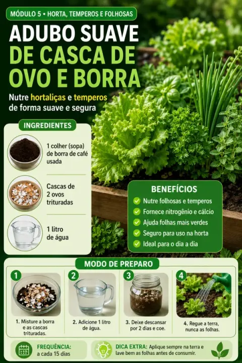 Receita do guia
